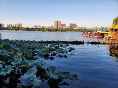 -济南大明湖景区