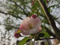 -元大都城垣遗址公园