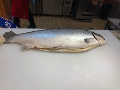 -悦橙烤肉海鲜自助(中央大街店)