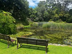 -墨尔本皇家植物园