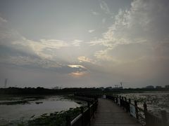 -天津东丽湖风景区