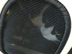 -宠爱国际动物医院· 猫科· 外科·中兽医(长白店)