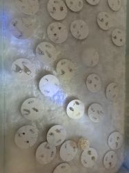 -AI艾耳·专业手工耳洞·穿孔美学馆
