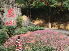 -忠山公园