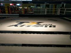 -天行健身＆天行拳馆跆拳道·格斗TXGYM