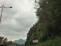 -悦城龙母祖庙