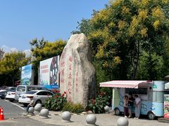 -合肥滨湖国家森林公园