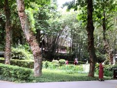 -望江楼公园