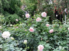 -人民公园(罗湖区)