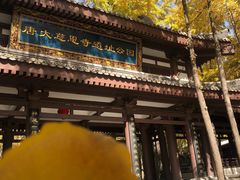 -大慈恩寺(大雁塔)