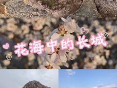 -龙泉峪长城