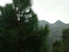 -北岐滩涂