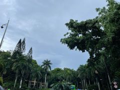 -深圳仙湖植物园