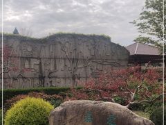 -嘉定紫藤园