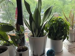 -懒人盐府人家(航天桥店)