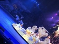 -广州长隆国际大马戏