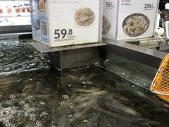 -盒马鲜生(大成店)