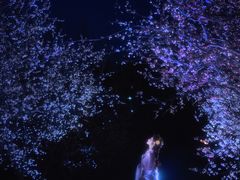 -九月鹰飞汉服摄影工作室