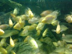 图像0039-蠡湖中央公园