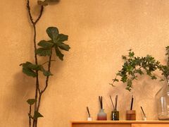 -白茶原·一片叶子