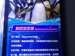 景点-多彩贵州城极地海洋世界