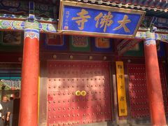 -张掖大佛寺景区