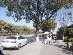 -南北湖风景区