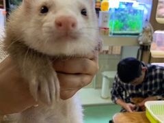 -藦茜花园宠物主题亲子互动体验馆(国顺东路店)