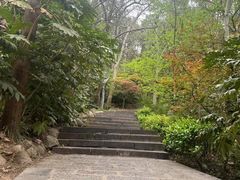 -云龙山