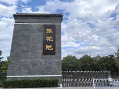 -莲花池公园