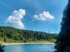 -武陵山森林公园