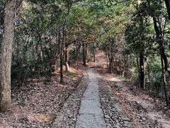 -西湖风景区十里琅珰-五云山