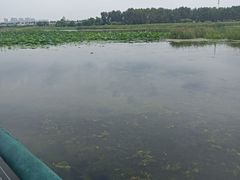 -哈尔滨大剧院