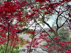 -幕燕滨江·长江观音景区