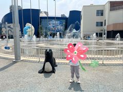 -西安曲江海洋极地公园