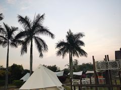 -大湾区中央湿地公园