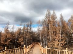 -莫尔道嘎国家森林公园