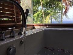 -阿亚拉卡马拉温泉度假酒店