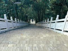 -老君山