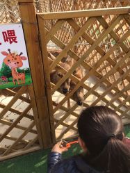 -萌宠亲子动物乐园(槐房万达店)