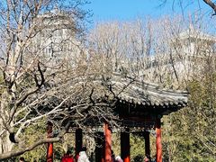 -月坛公园