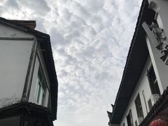 -后柳水乡