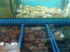 -老东镇啤酒屋海鲜加工·蒸汽海鲜·海鲜烧烤(台东店)