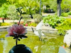 -广富林宰相府酒店·水云间