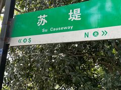-西湖游船