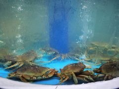 -三亚湾红树林度假酒店美食街