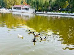 -丰台花园