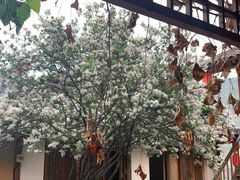 -百花人家(清水田园店)