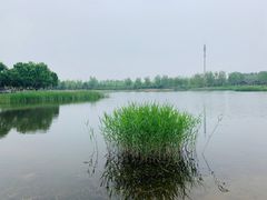 -永定河休闲森林公园