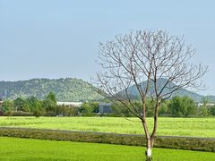 -良渚古城遗址公园